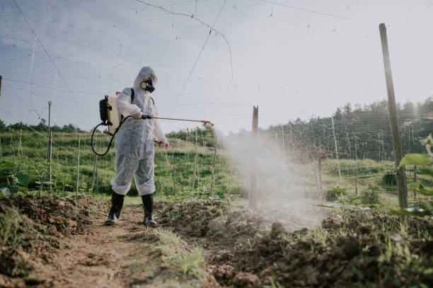Best Pest Prevention Services  in Galesville, WI