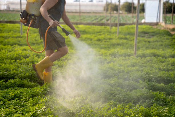 Best Best Pest Control Near Me  in Galesville, WI