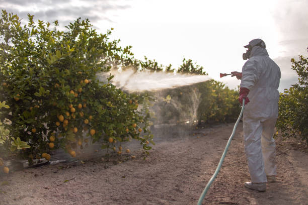 Professional Pest Control in Galesville, WI