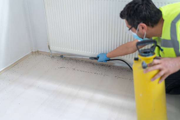 Best Mosquito Control Services  in Galesville, WI