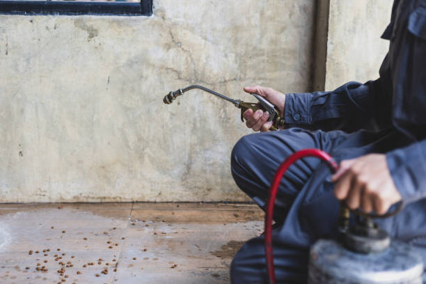 Best Mosquito Control Services  in Galesville, WI